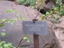 PICTURES/Emerald Pool Hike/t_Emerald Pool Falls Sign.jpg